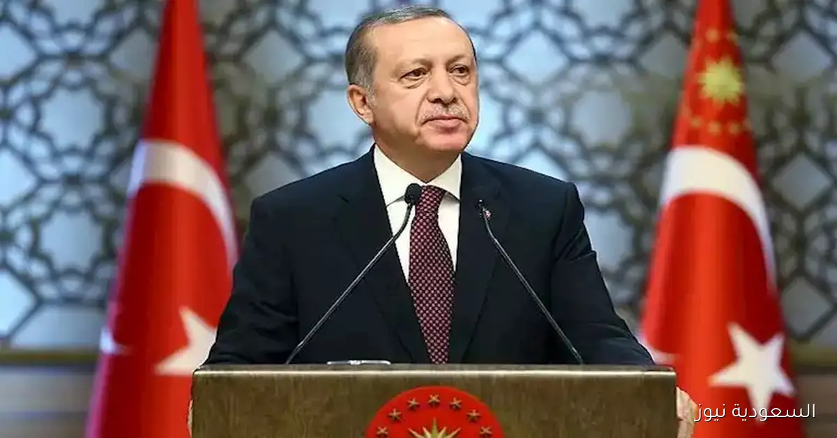 أردوغان يؤكد التزامه بالدفاع عن مبدأ احترام سيادة الأراضي السورية