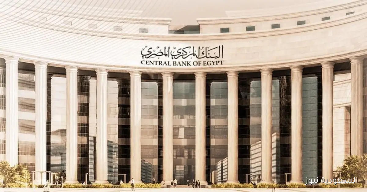 ارتفاع تحويلات المصريين بالخارج 49.7% خلال أول 7 شهور من 2025
