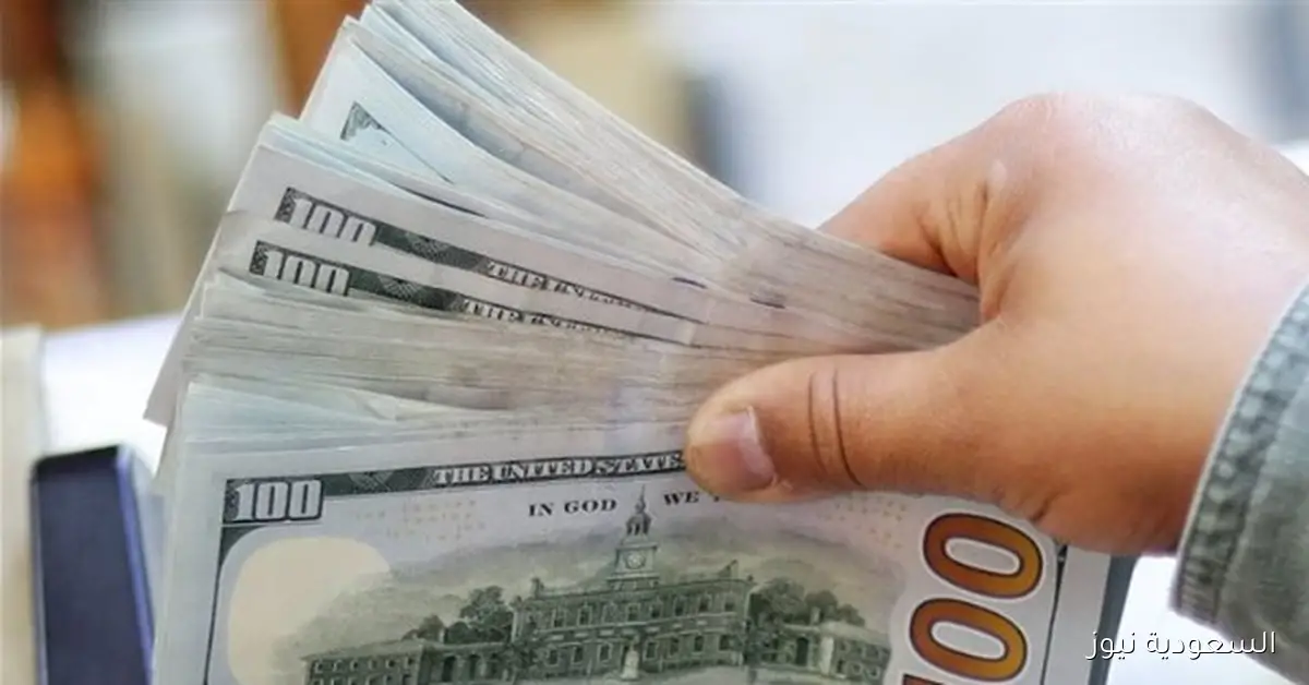 استقرار نسبي للدولار في البنوك المصرية مع اختلافات طفيفة اليوم