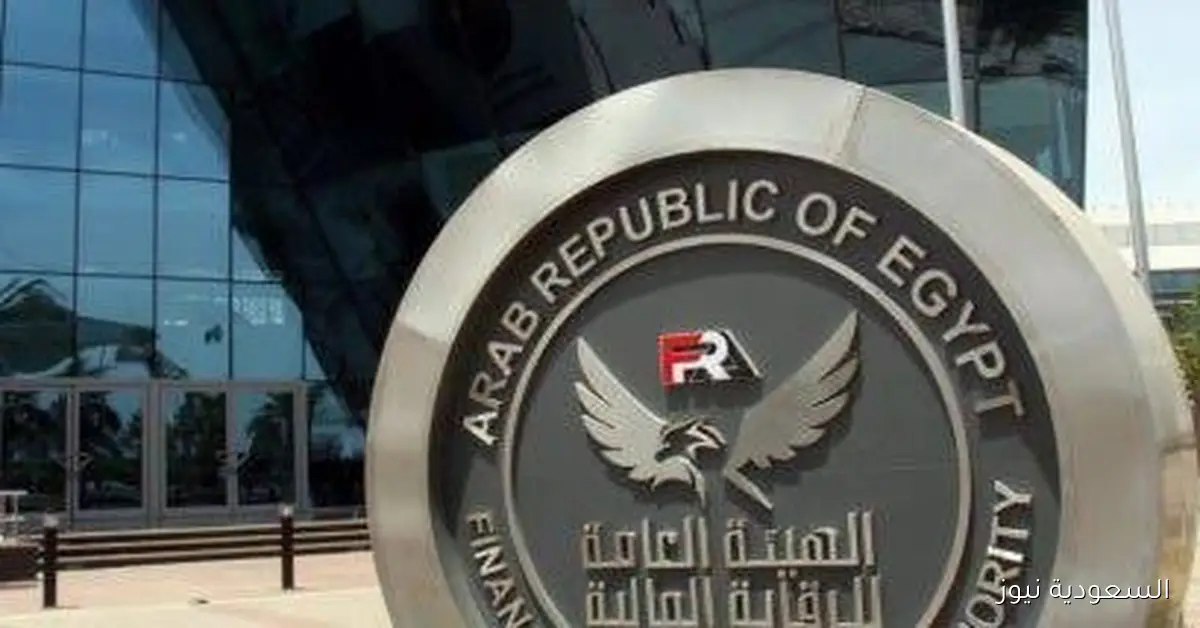الرقابة المالية تعلن عن إصلاحات جديدة لتعزيز الاستثمار العقاري وإطلاق منصات رقمية للملكية الجزئية