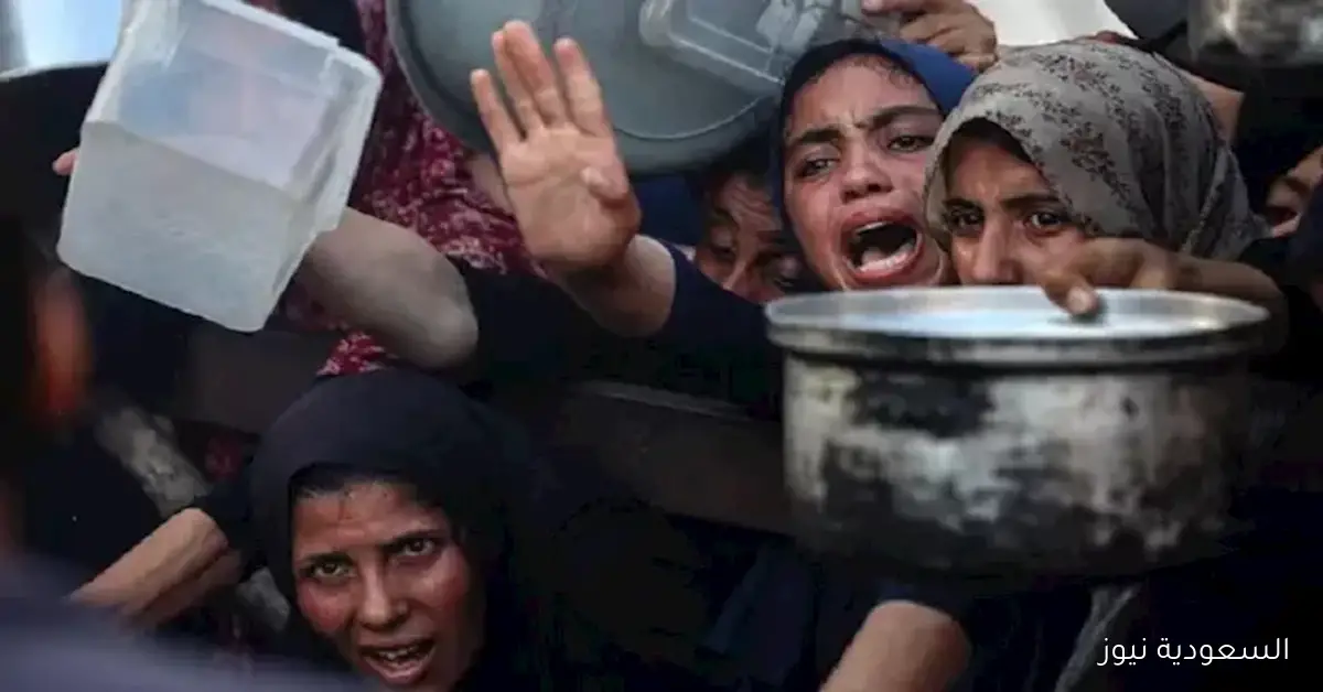 المدير العام لصحة غزة: مليون فلسطيني يواصلون صمودهم في مواجهة التحديات