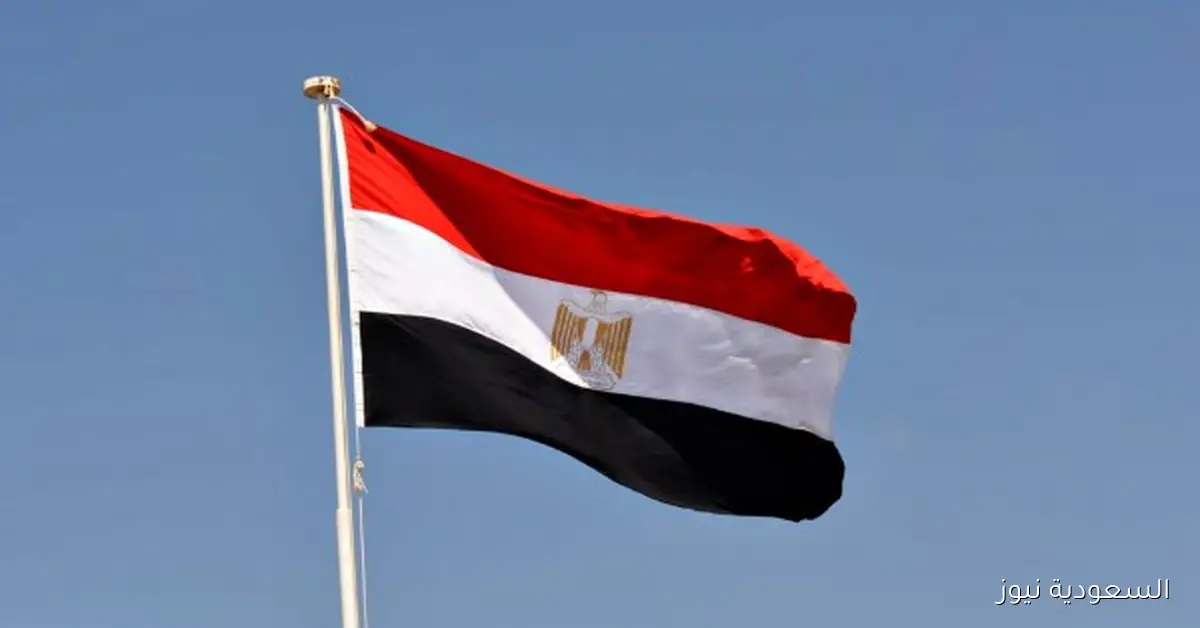 ميشيل الجمل يؤكد عودة مصر للدور الريادي في قارة أفريقيا