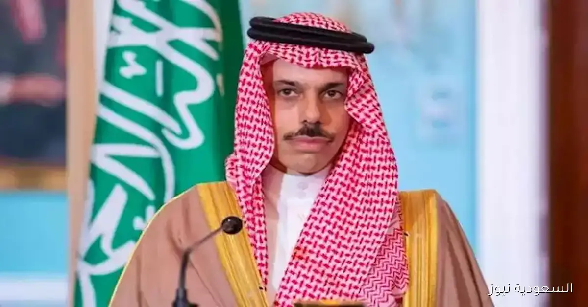 وزير الخارجية السعودي في مؤتمر حل الدولتين: تقدير للجهود الدولية في الاعتراف بفلسطين