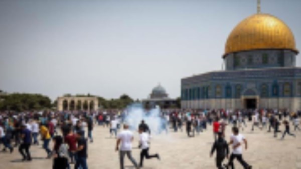 الأمم المتحدة تكشف عن 71 هجومًا للمستوطنين ضد الفلسطينيين في الضفة الغربية خلال أسبوع