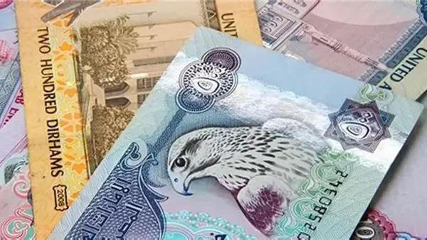 سعر الدرهم الإماراتي مقابل الجنيه المصري اليوم الأحد 26 أكتوبر 2025