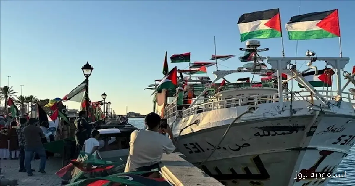 مظاهرات في عدة دول احتجاجًا على هجوم إسرائيل على أسطول الصمود – فيديو