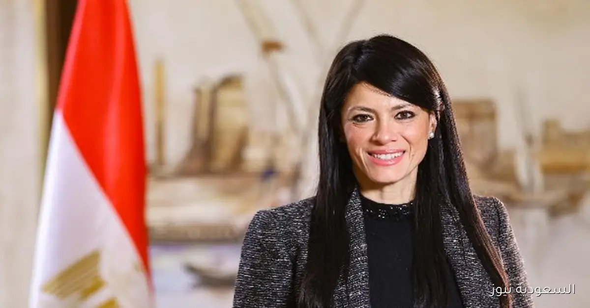 وزارة التخطيط تكشف عن تصدر القطاع الخاص للنمو الاقتصادي مع تراجع الاستثمارات العامة