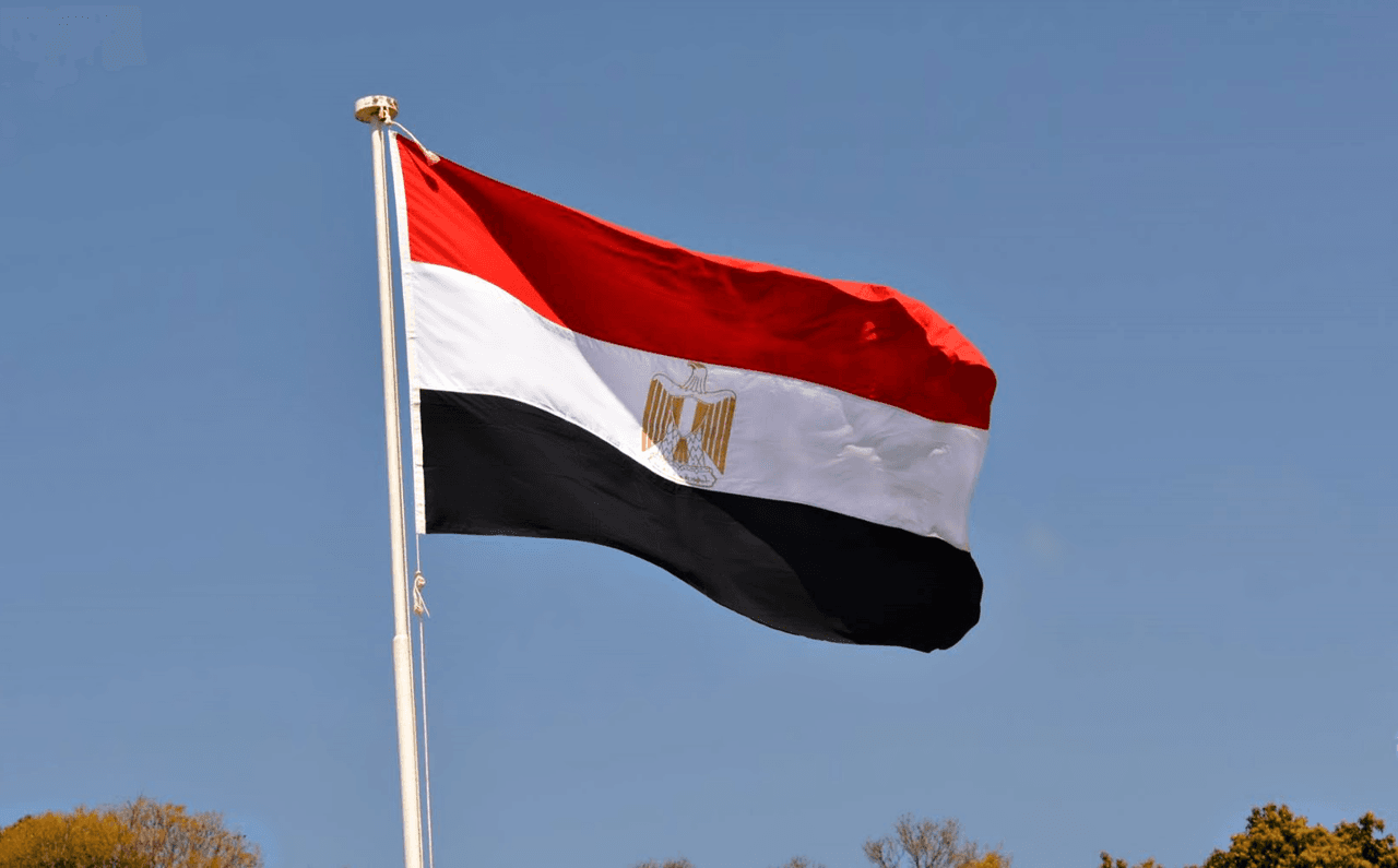 مصر تؤكد أهمية تثبيت وقف إطلاق النار وتحتفل باليوم العالمي للتضامن مع الشعب الفلسطيني