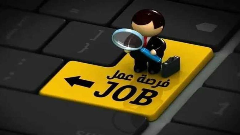 وظائف شاغرة برواتب مغرية وتأمينات مقدمة من «الشباب والرياضة» مع فرصة للسفر إلى الخليج