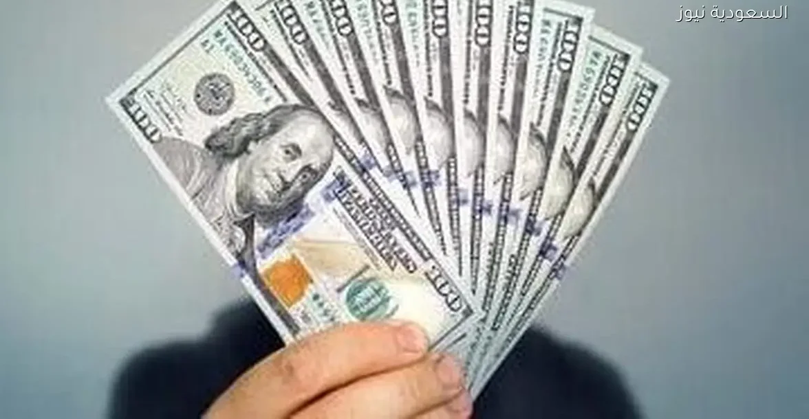 سعر الدولار مقابل الجنيه المصري اليوم في البنوك المصرية