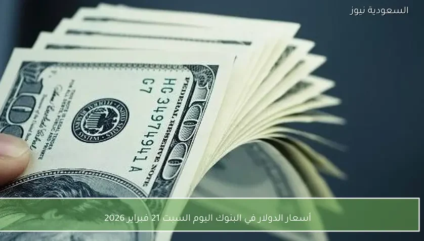 أسعار الدولار في البنوك اليوم السبت 21 فبراير 2026