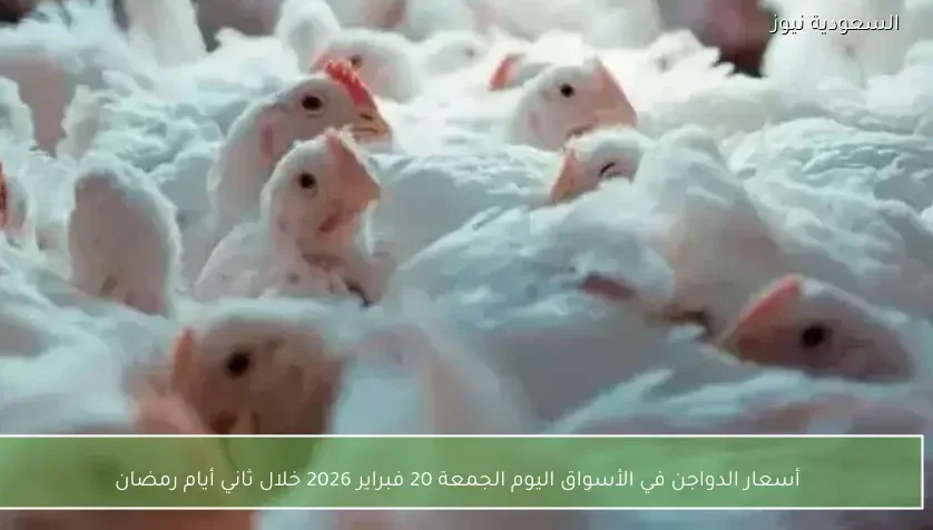 أسعار الدواجن في الأسواق اليوم الجمعة 20 فبراير 2026 خلال ثاني أيام رمضان