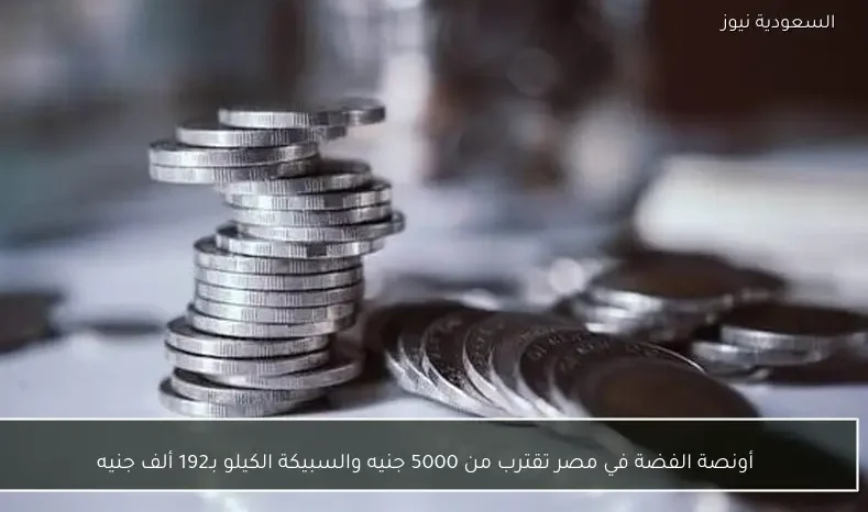 أونصة الفضة في مصر تقترب من 5000 جنيه والسبيكة الكيلو بـ192 ألف جنيه