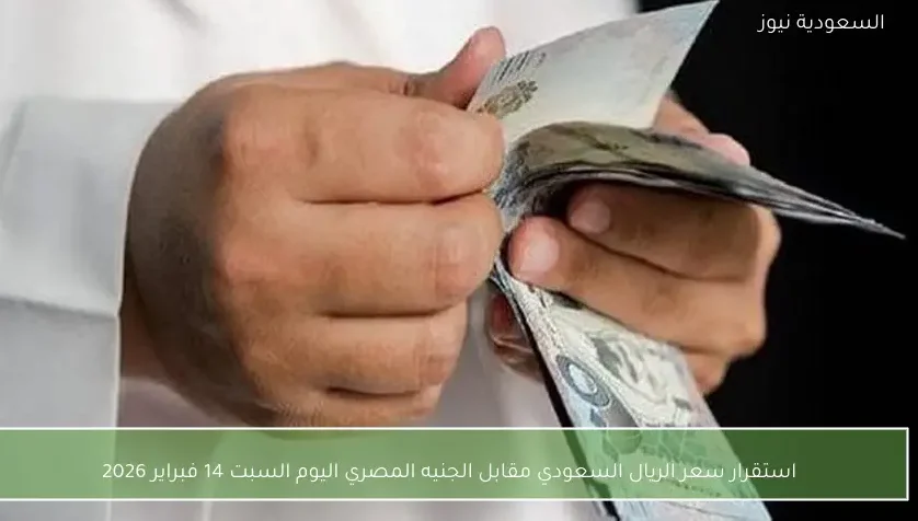 استقرار سعر الريال السعودي مقابل الجنيه المصري اليوم السبت 14 فبراير 2026