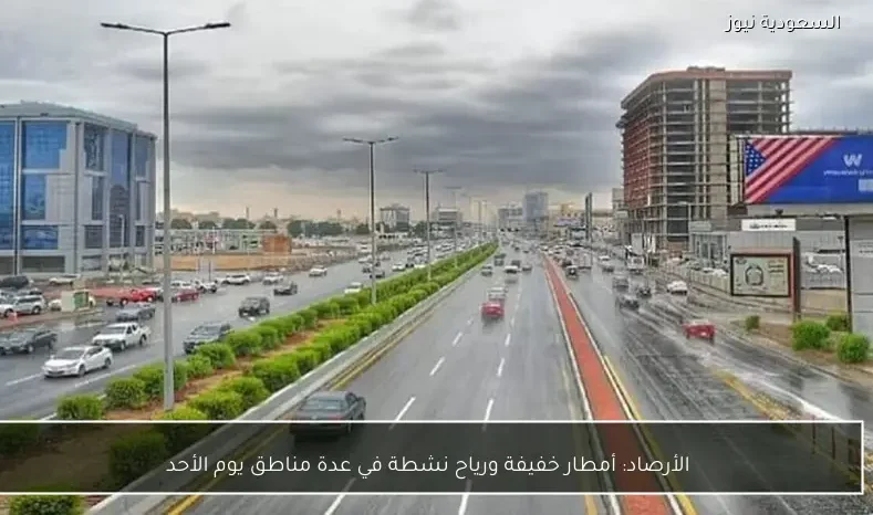 الأرصاد: أمطار خفيفة ورياح نشطة في عدة مناطق يوم الأحد