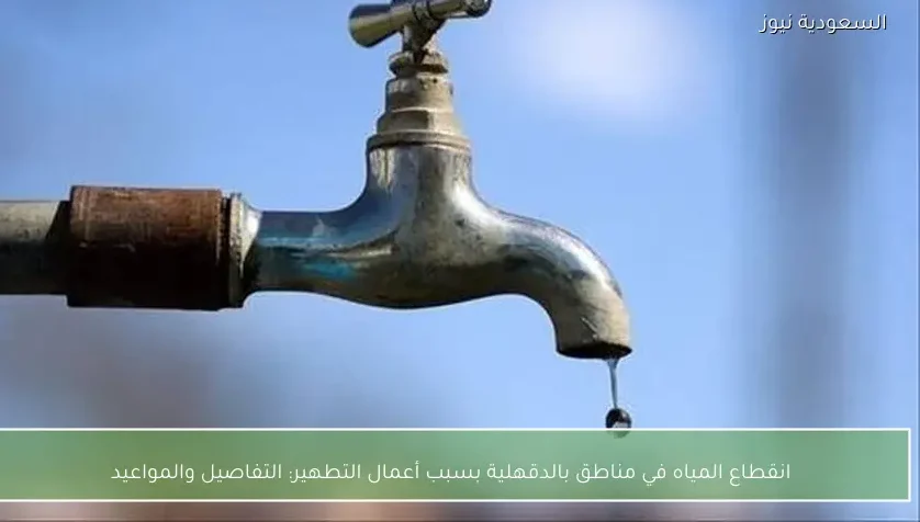انقطاع المياه في مناطق بالدقهلية بسبب أعمال التطهير: التفاصيل والمواعيد
