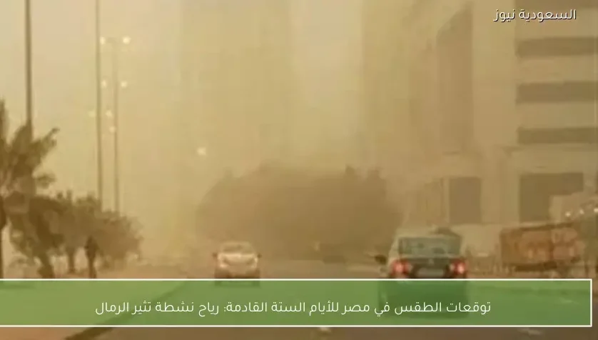 توقعات الطقس في مصر للأيام الستة القادمة: رياح نشطة تثير الرمال