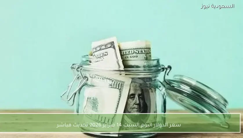 سعر الدولار اليوم السبت 14 فبراير 2026 تحديث مباشر