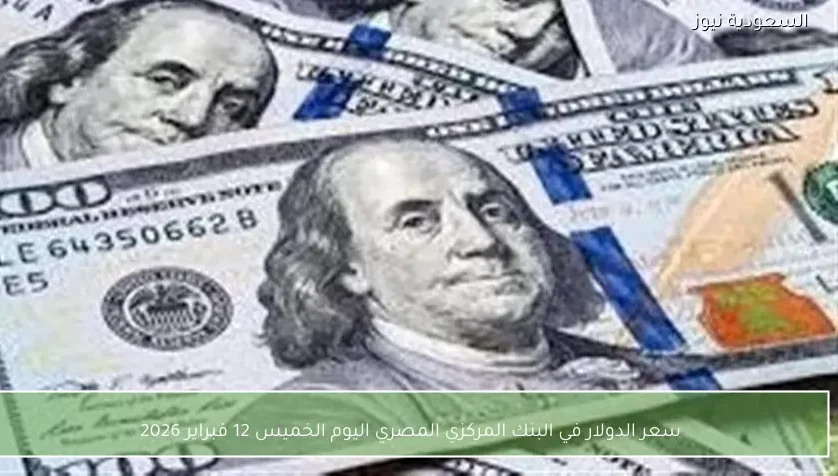 سعر الدولار في البنك المركزي المصري اليوم الخميس 12 فبراير 2026