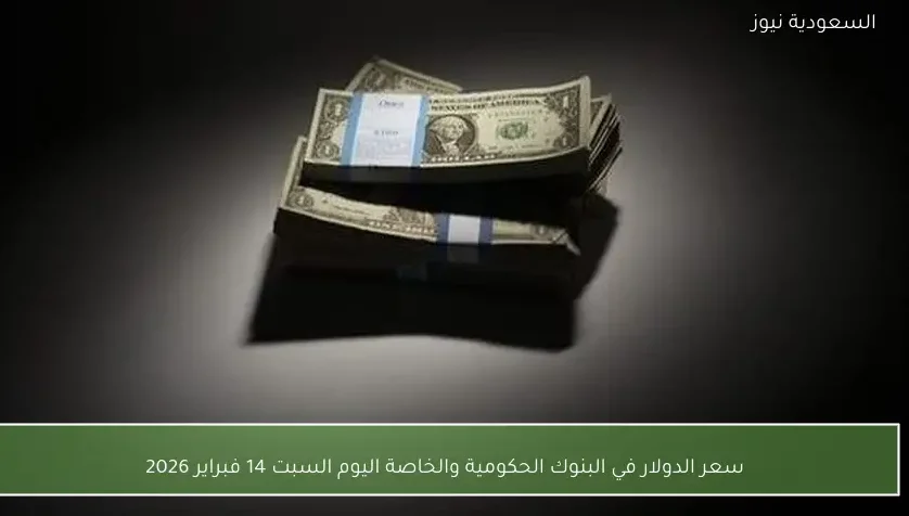 سعر الدولار في البنوك الحكومية والخاصة اليوم السبت 14 فبراير 2026