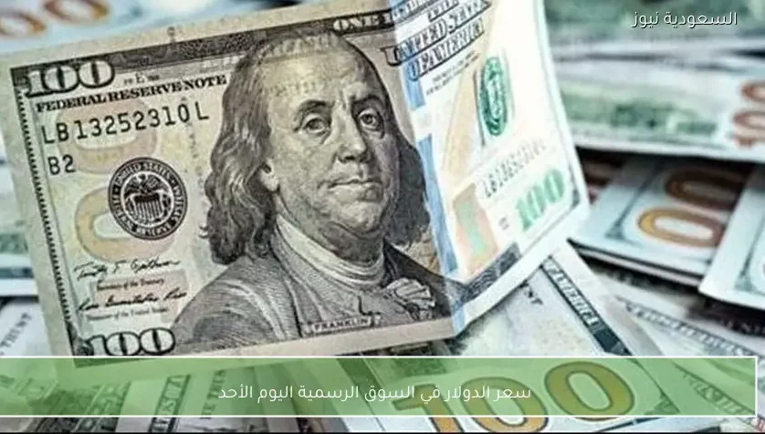 سعر الدولار في السوق الرسمية اليوم الأحد