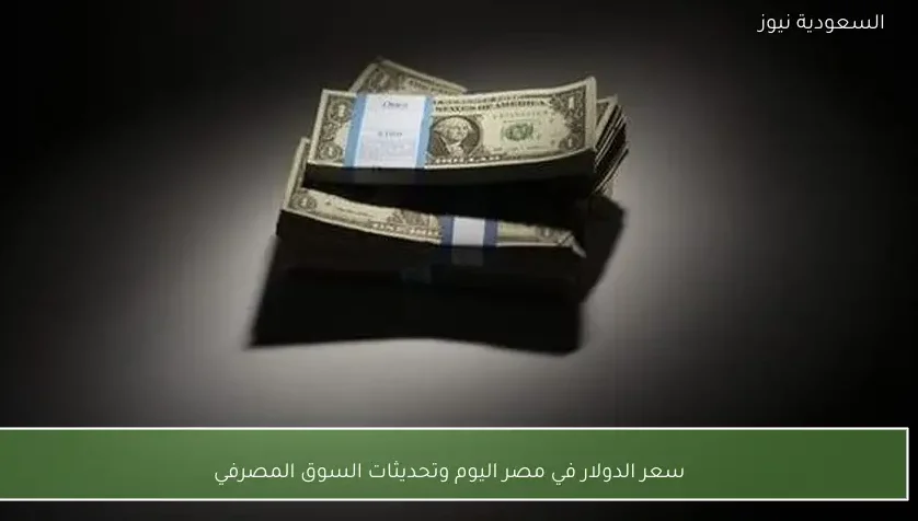سعر الدولار في مصر اليوم وتحديثات السوق المصرفي