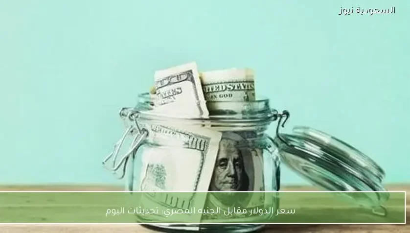 سعر الدولار مقابل الجنيه المصري: تحديثات اليوم