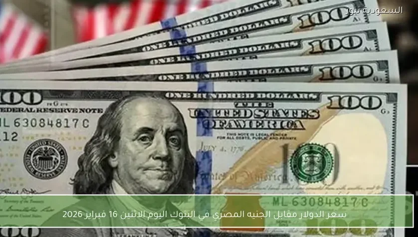 سعر الدولار مقابل الجنيه المصري في البنوك اليوم الاثنين 16 فبراير 2026