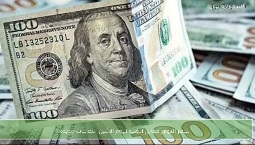 سعر الدولار مقابل الجنيه اليوم الاثنين: تحديثات جديدة