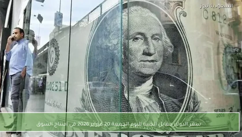 سعر الدولار مقابل الجنيه اليوم الجمعة 20 فبراير 2026 في افتتاح السوق