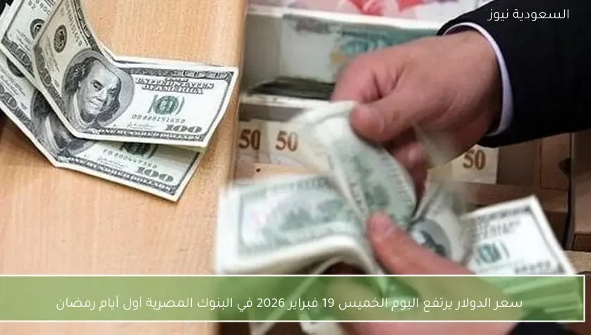سعر الدولار يرتفع اليوم الخميس 19 فبراير 2026 في البنوك المصرية أول أيام رمضان