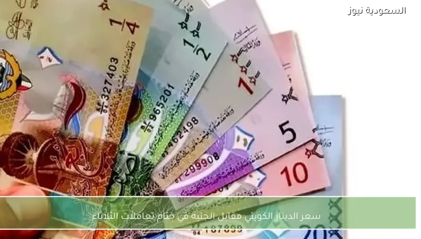 سعر الدينار الكويتي مقابل الجنيه في ختام تعاملات الثلاثاء