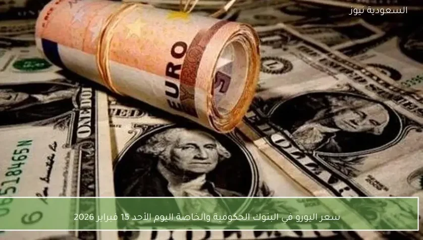 سعر اليورو في البنوك الحكومية والخاصة اليوم الأحد 15 فبراير 2026