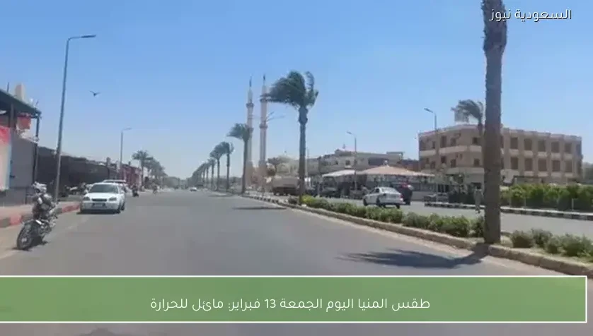 طقس المنيا اليوم الجمعة 13 فبراير: مائل للحرارة