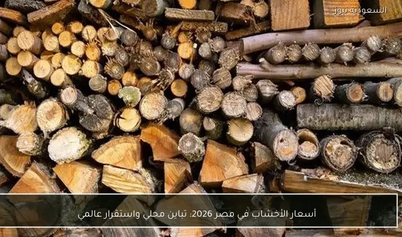 أسعار الأخشاب في مصر 2026: تباين محلي واستقرار عالمي