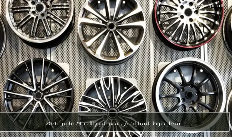 أسعار جنوط السيارات في مصر اليوم الأحد 29 مارس 2026