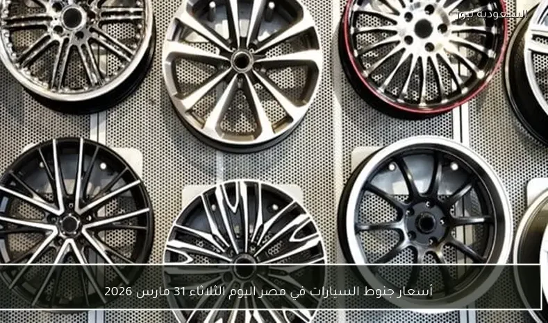 أسعار جنوط السيارات في مصر اليوم الثلاثاء 31 مارس 2026