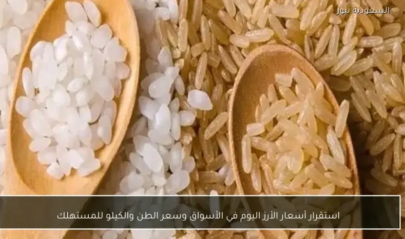 استقرار أسعار الأرز اليوم في الأسواق وسعر الطن والكيلو للمستهلك
