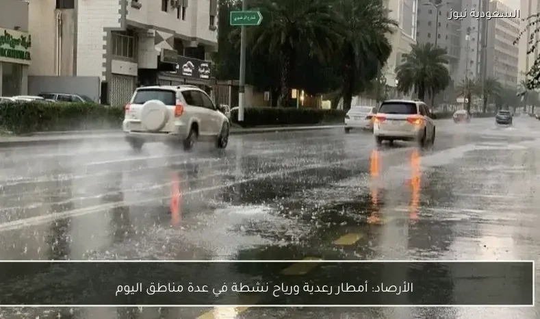 الأرصاد: أمطار رعدية ورياح نشطة في عدة مناطق اليوم