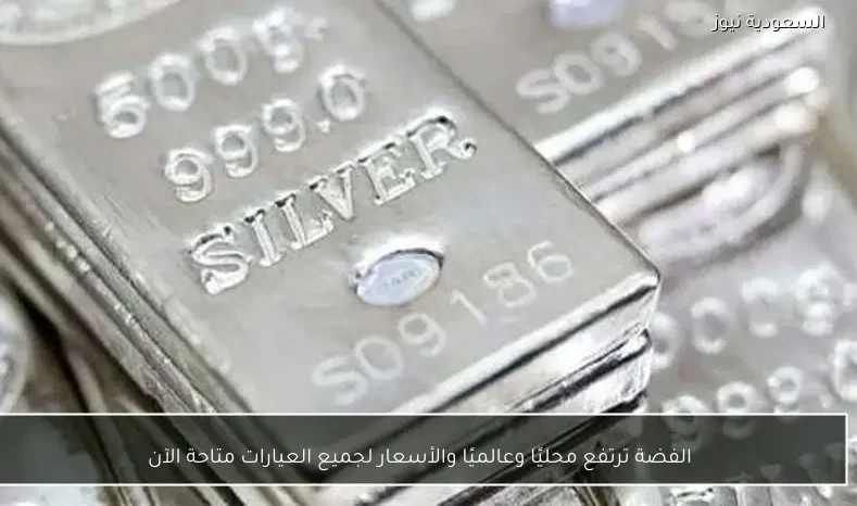 الفضة ترتفع محليًا وعالميًا والأسعار لجميع العيارات متاحة الآن