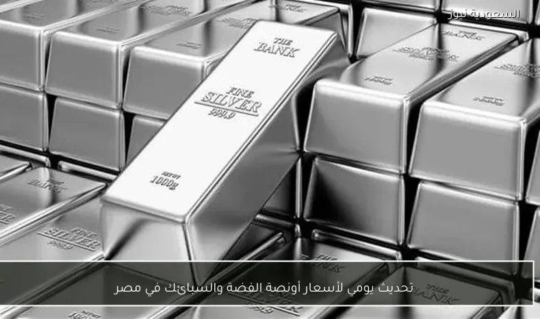 تحديث يومي لأسعار أونصة الفضة والسبائك في مصر