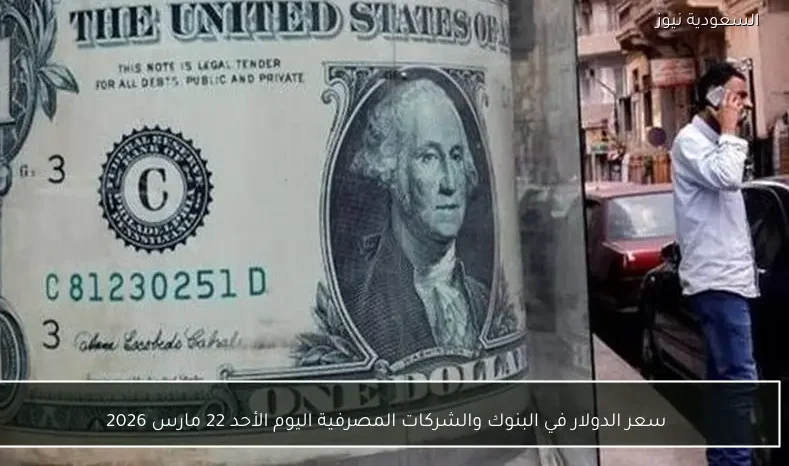 سعر الدولار في البنوك والشركات المصرفية اليوم الأحد 22 مارس 2026