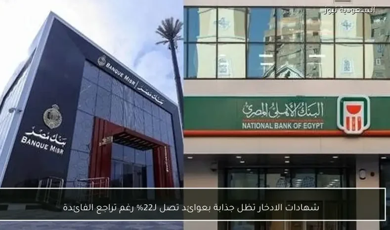 شهادات الادخار تظل جذابة بعوائد تصل لـ22% رغم تراجع الفائدة