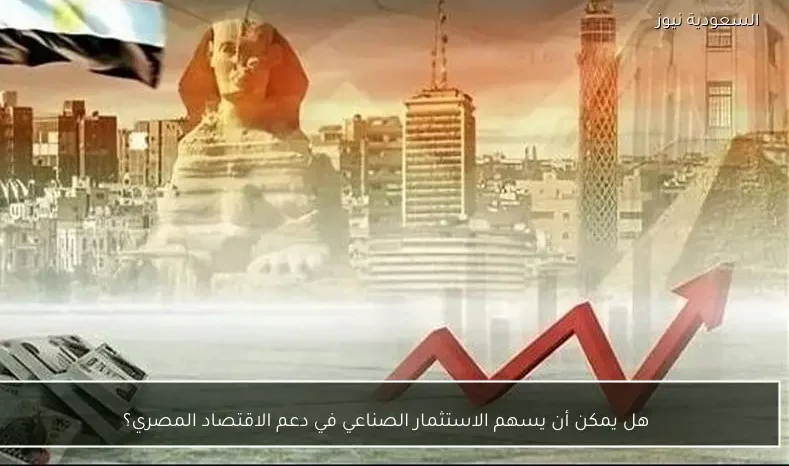 هل يمكن أن يسهم الاستثمار الصناعي في دعم الاقتصاد المصري؟