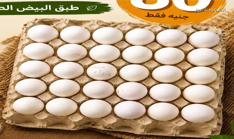 إنخفاض حاد في سعر كرتونة البيض اليوم للمستهلك بالمحال والأسواق