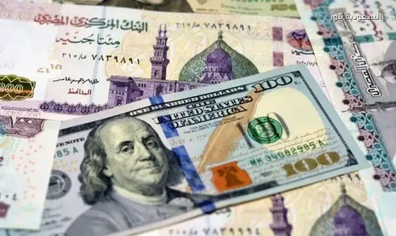 تقرير دولي يشيد بتجربة مصر في إدارة أزمة سعر الصرف وتفادي صدمات التعويم