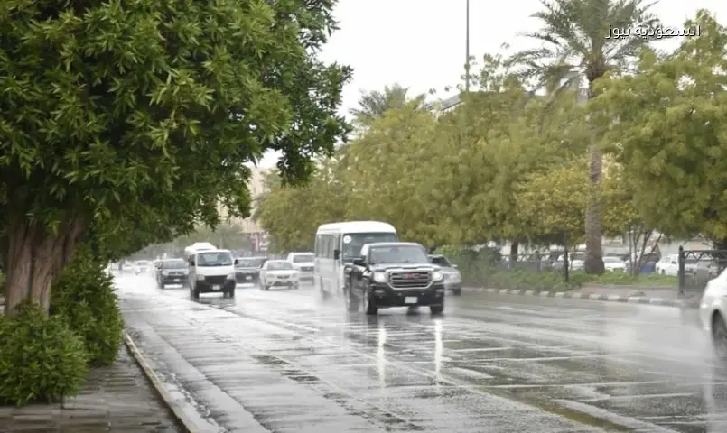 أمطار رعدية على 4 مناطق ورياح مثيرة للأتربة في 9 مناطق اليوم